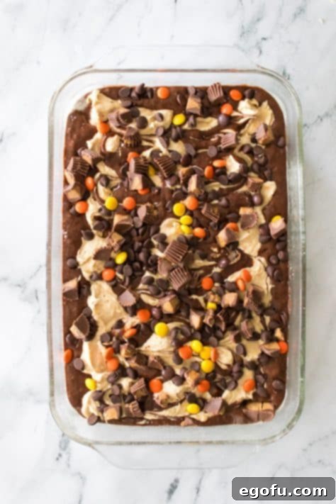 Candies covering a cream cheese peanut butter swirled cake.