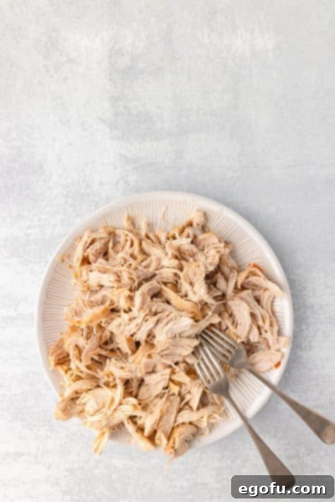 Shredded chicken on a plate.