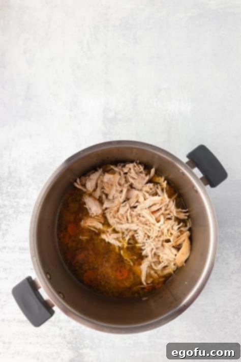 Shredded chicken in a soup.