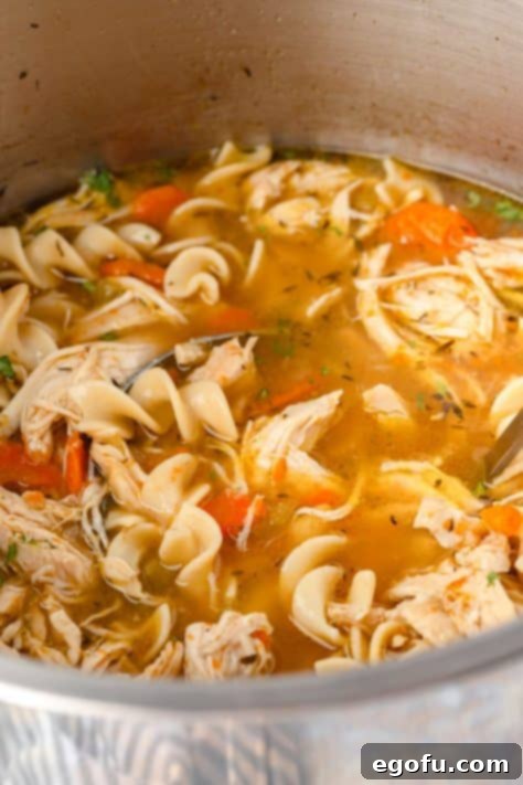 Close up looking at some Chicken Noodle Soup.