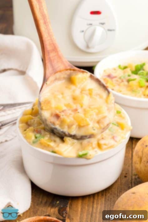 A ladle serving a generous portion of potato soup into a cup, topped with delicious garnishes like green onions, cheese, and bacon.