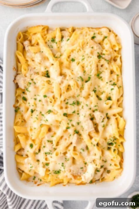 Finished Chicken Alfredo Casserole in a baking dish, garnished with parsley.