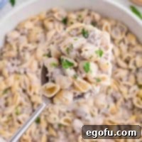 A scoop of Ground Beef Alfredo above the rest of the bowl of it.