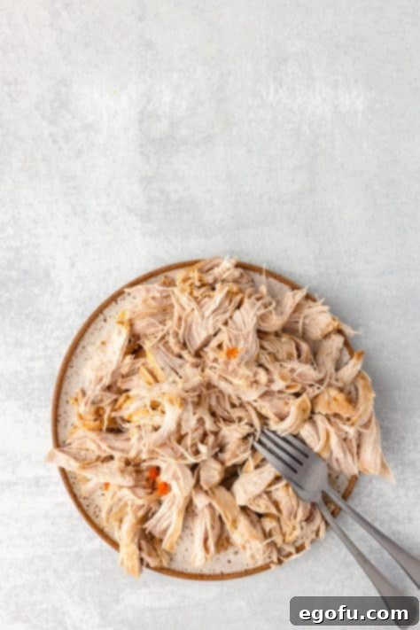 Comforting Instant Pot Chicken and Rice Soup 6 Shredded chicken on a plate.