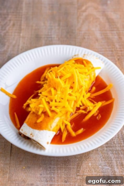 Melted cheddar cheese bubbling on top of a saucy enchilada burrito.