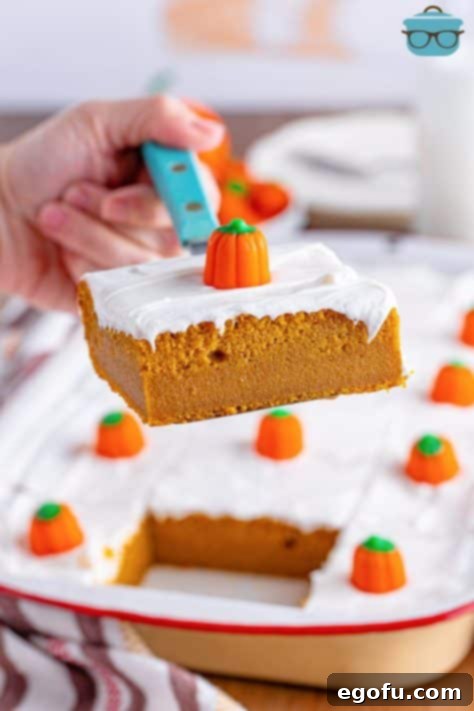 Decadent Pumpkin Pie Cake 14 A slice of Pumpkin Pie Cake being held above the rest of the cake in the pan, showcasing its finished appearance.