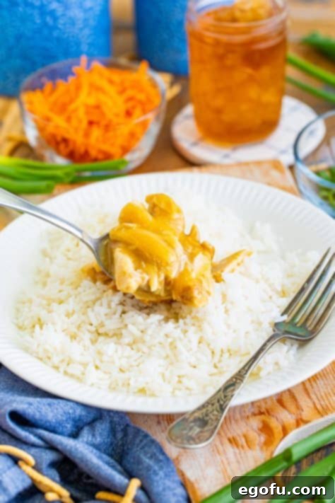 Island Topping Towers 6 Hot chicken and gravy being added on top of a bed of rice on a white dinner plate, forming a delicious mound.