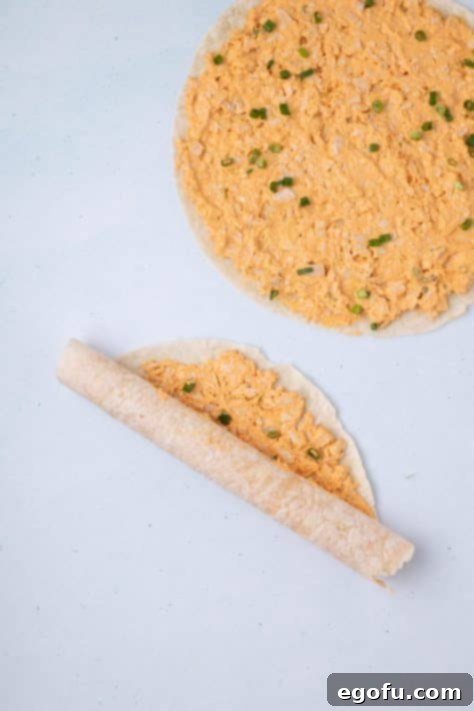 Buffalo chicken mixture with green onions being wrapped up in a tortilla.
