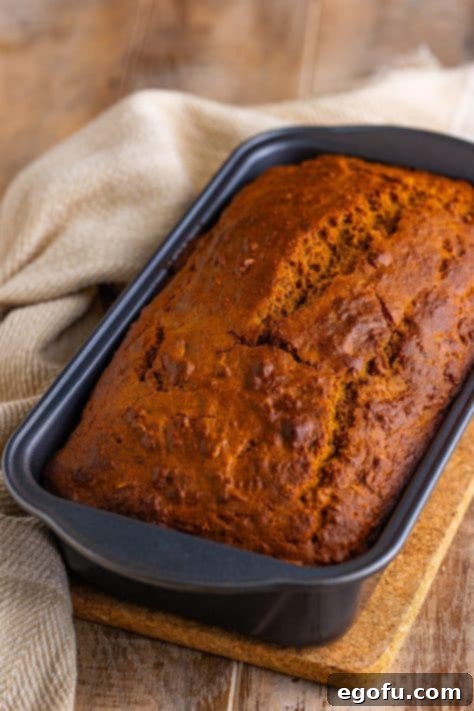 Ireland's Beloved Brown Loaf 12 A loaf of Irish Brown Bread in a loaf pan.
