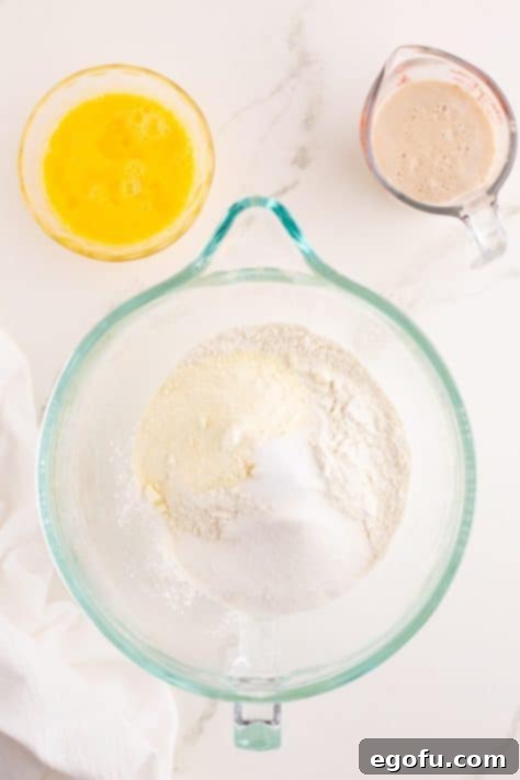 Golden Buttery Brioche Buns Fresh From Your Oven 6 A bowl containing flour, milk powder, sugar, and salt, ready for mixing.