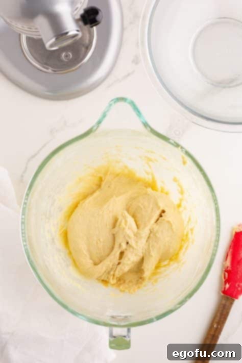 Golden Buttery Brioche Buns Fresh From Your Oven 18 Smooth, well-kneaded dough resting in a bowl after butter incorporation.