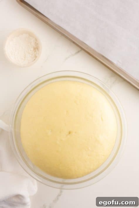 Golden Buttery Brioche Buns Fresh From Your Oven 19 Dough visibly rising and doubling in size within a bowl, covered.