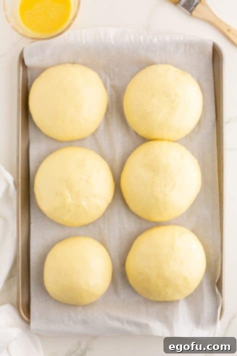 Golden Buttery Brioche Buns Fresh From Your Oven 20 Unbaked brioche buns arranged on a baking sheet lined with parchment paper, after their second rise.