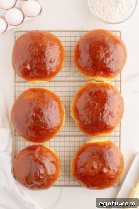 Golden Buttery Brioche Buns Fresh From Your Oven 12 Golden brown Brioche Buns cooling on a wire rack, glistening from the egg wash.