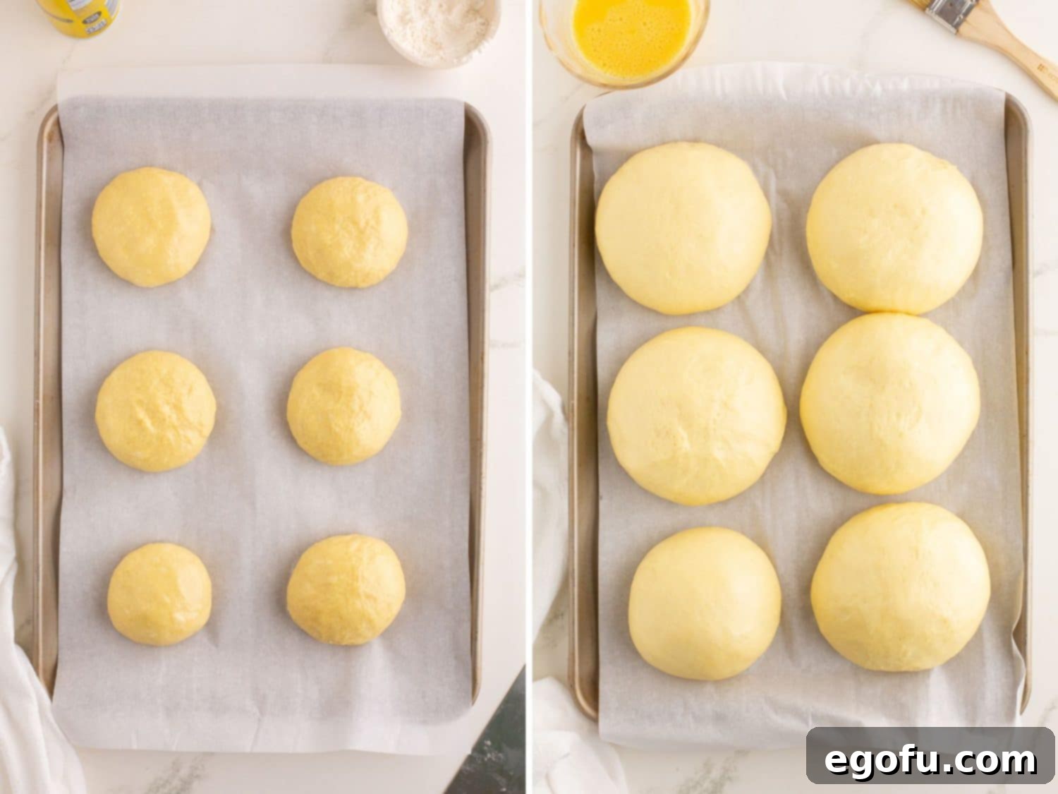 Golden Buttery Brioche Buns Fresh From Your Oven 11 Unbaked brioche buns arranged on parchment paper, visibly rising and expanding on the baking sheet.