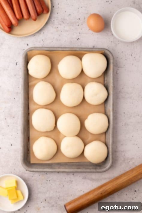 Hearty Texas Sausage Kolaches 11 Dough rising on a sheet pan.