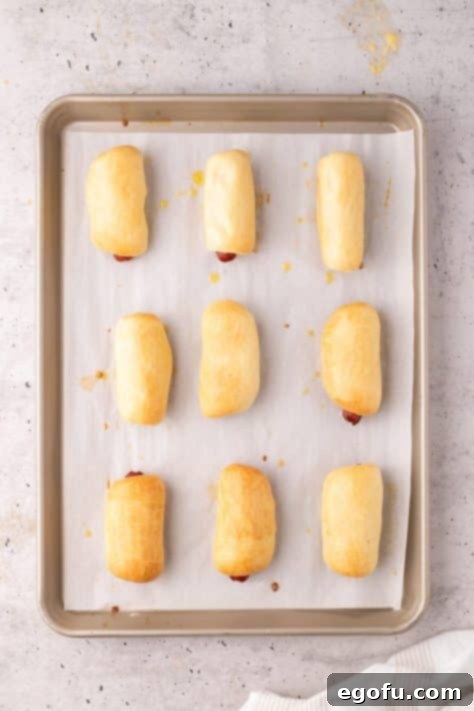 Hearty Texas Sausage Kolaches 16 Baked Kolaches on a sheet pan.