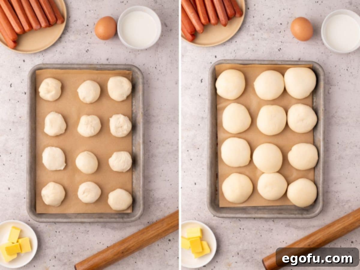 Hearty Texas Sausage Kolaches 5 Dinner rolls rising on a sheet pan, covered lightly.