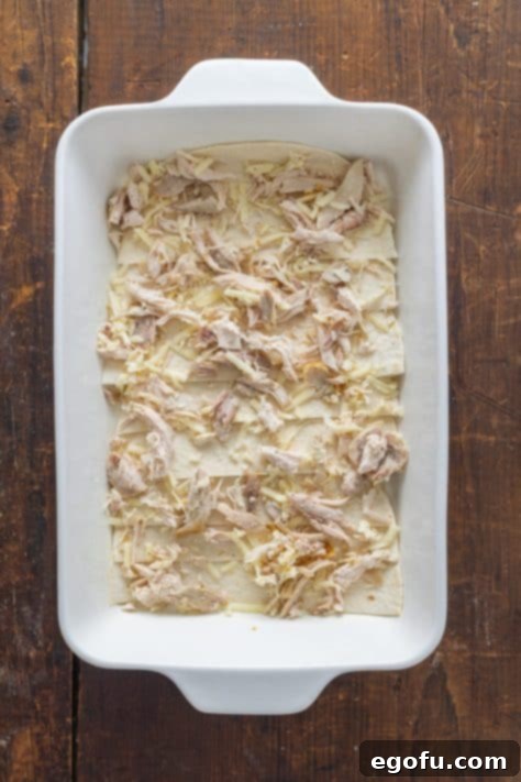 Chicken mixture spread over tortillas in a baking dish.