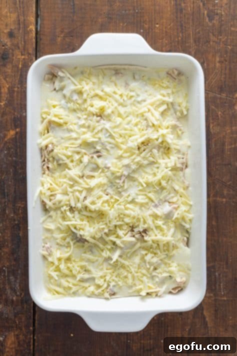 Shredded cheese generously sprinkled over a casserole, ready for baking.