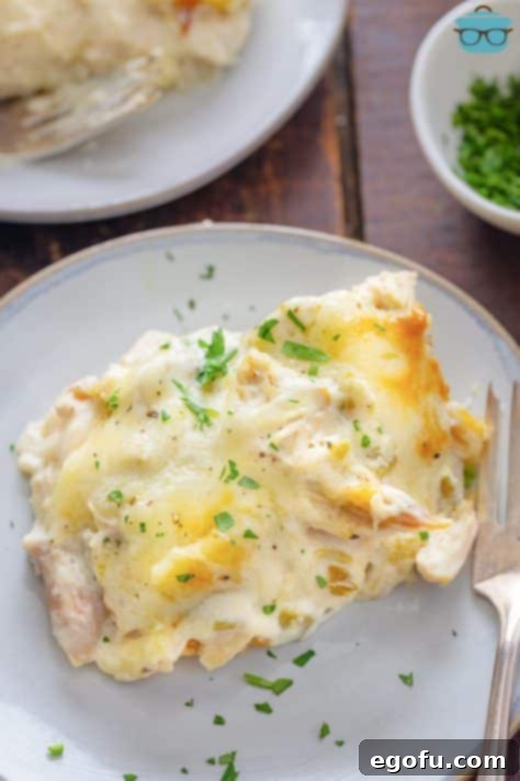 A large serving of White Chicken Enchilada Casserole, garnished and ready to be enjoyed.