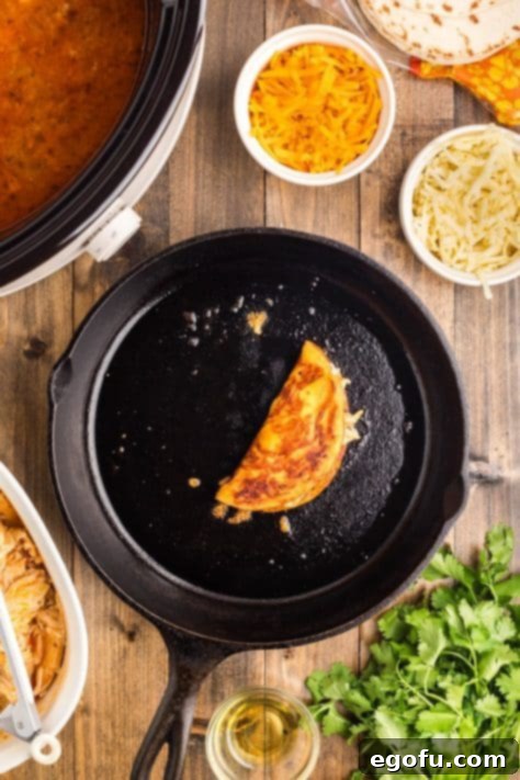 A cooked taco with shredded cheese and chicken.