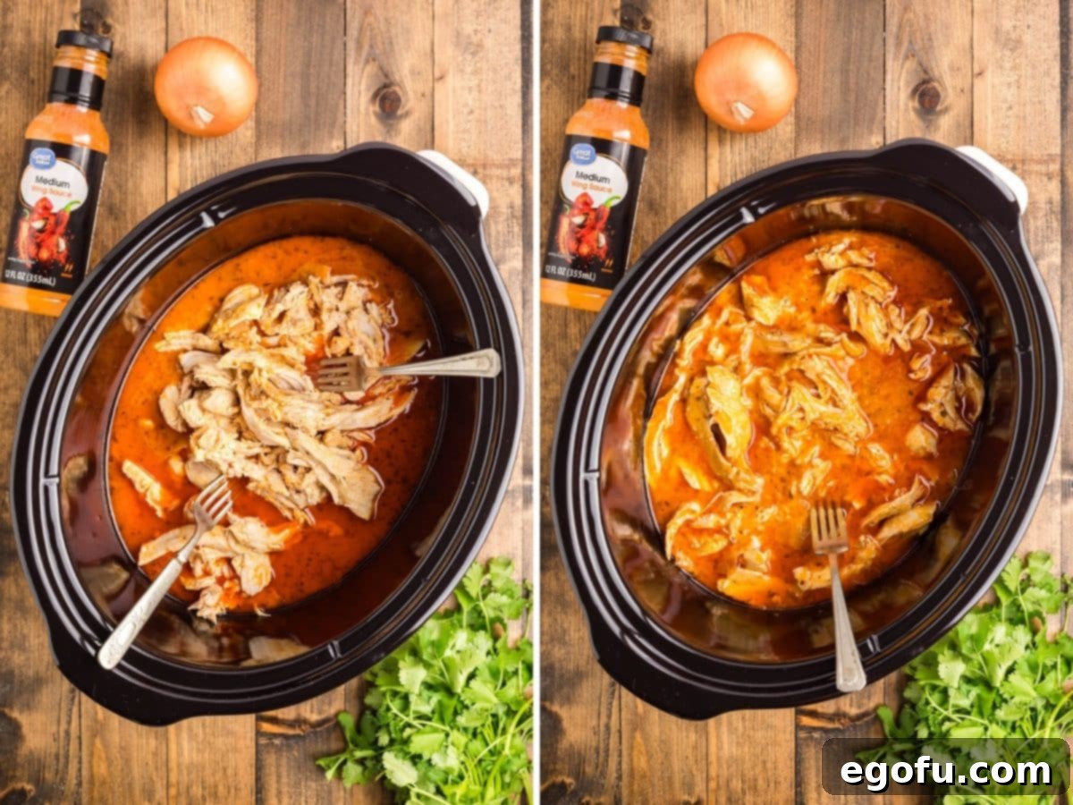 Cooked chicken breasts being shredded with two forks directly in the slow cooker, submerged in the savory buffalo sauce.