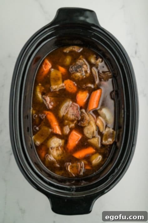 A Slow Cooker with short ribs, broth, and veggies.
