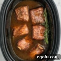 Looking down on a Slow Cooker full of Short Ribs and broth.