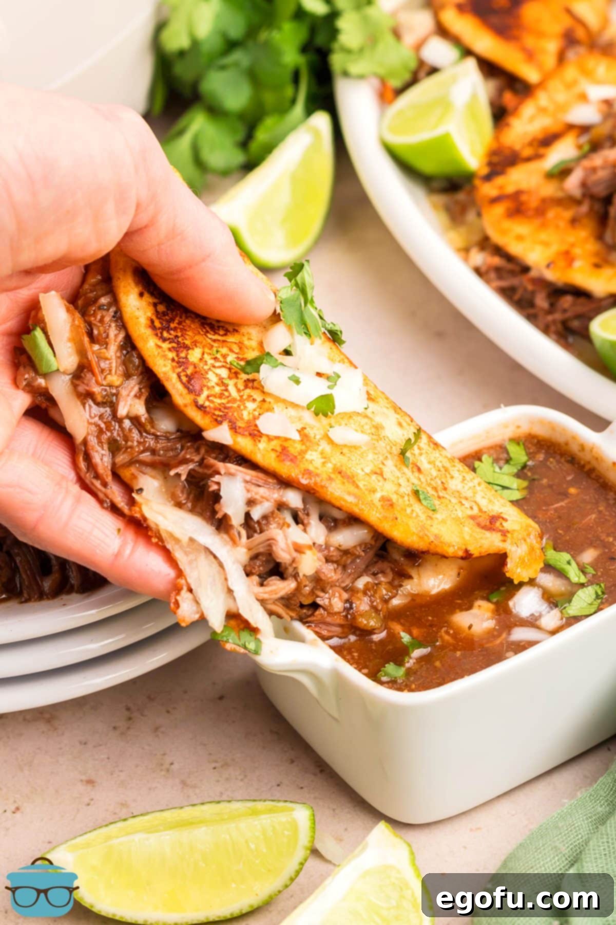 A hand hold pin a Birria Taco above a side of beans and a lime wedge.