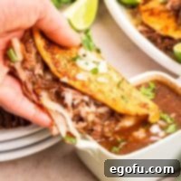 A hand holding a Crock Pot BIRRIA Tacoma ice beans.