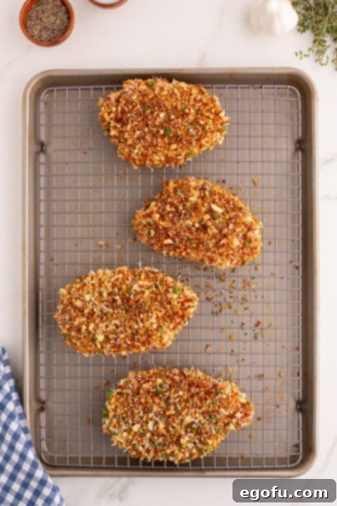 casted pork chops on baking sheet.