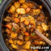 Looking down on Crock Pot Beef Dumplings with a serving spoon.