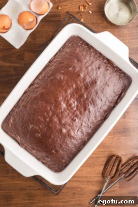 A baked chocolate cake in a baking dish.