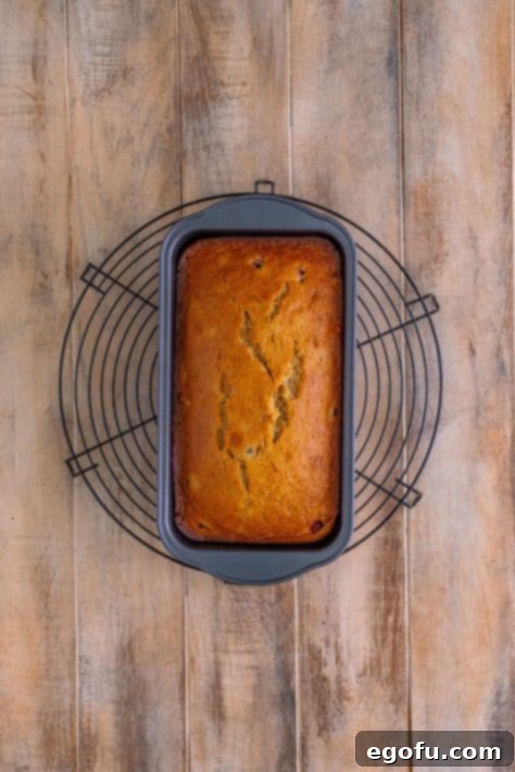 Starbucks Signature Cranberry Loaf 10 A loaf of Cranberry Starbucks bread.