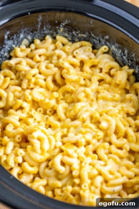 slow cooker macaroni and cheese when it is finished cooking.