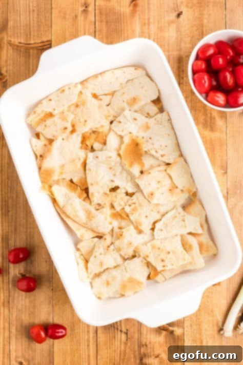 Broken, crispy tortillas laid out in the bottom of a baking dish, forming the first casserole layer.