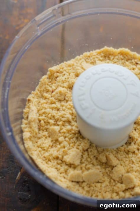 Cookie crumbs in a food processor.