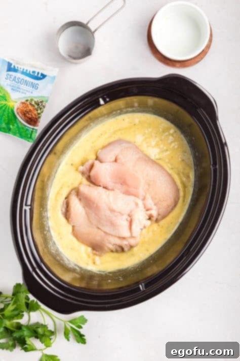 Creamy Ranch Slow Cooker Chicken 11 Chicken breasts being placed into the creamy sauce in a slow cooker.