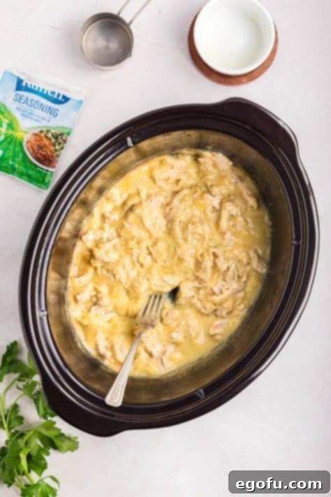 Creamy Ranch Slow Cooker Chicken 13 Forks shredding tender cooked chicken directly in the creamy ranch sauce inside the slow cooker.