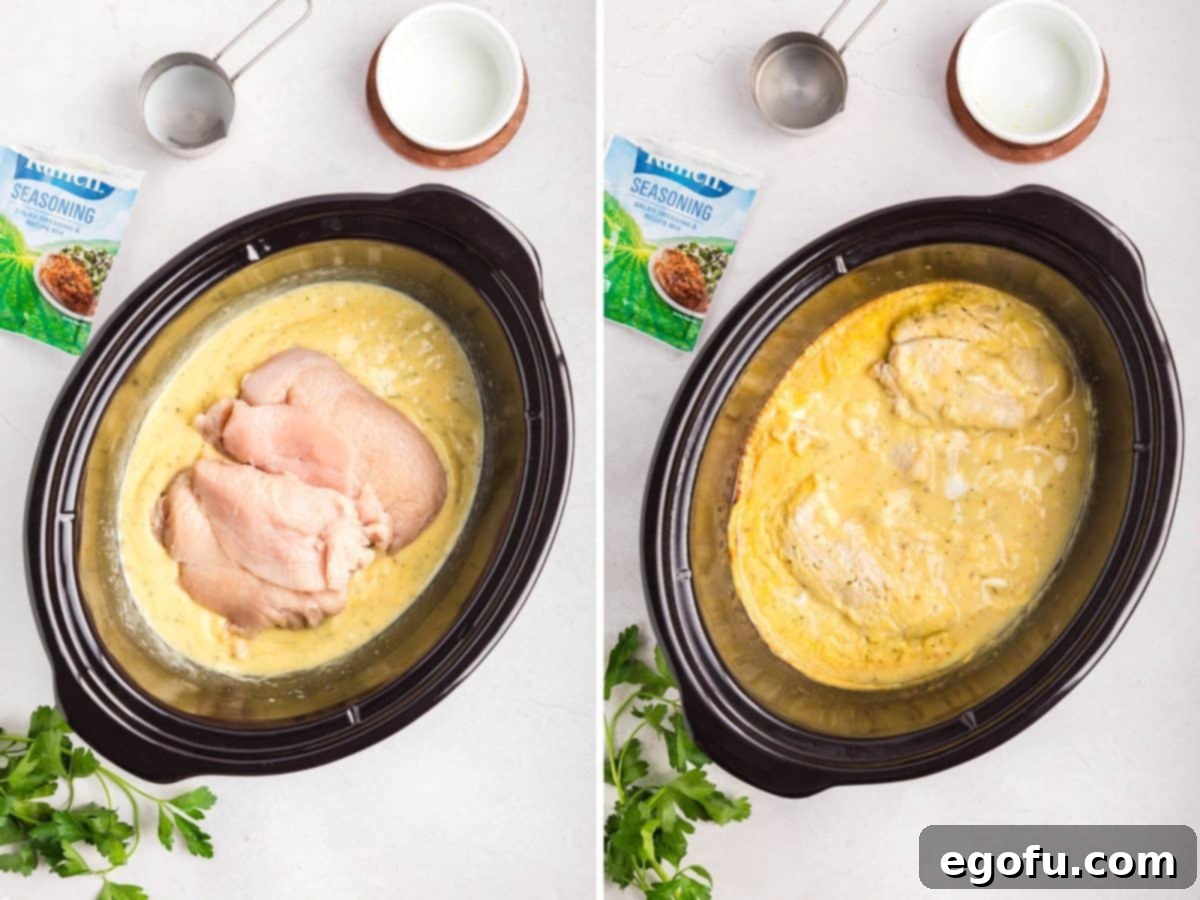 Creamy Ranch Slow Cooker Chicken 6 Chicken breasts being added to a creamy ranch sauce in a slow cooker.
