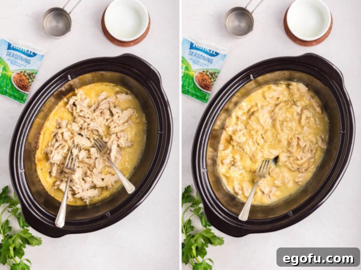 Creamy Ranch Slow Cooker Chicken 7 Two forks shredding tender cooked chicken in a slow cooker with creamy ranch sauce.