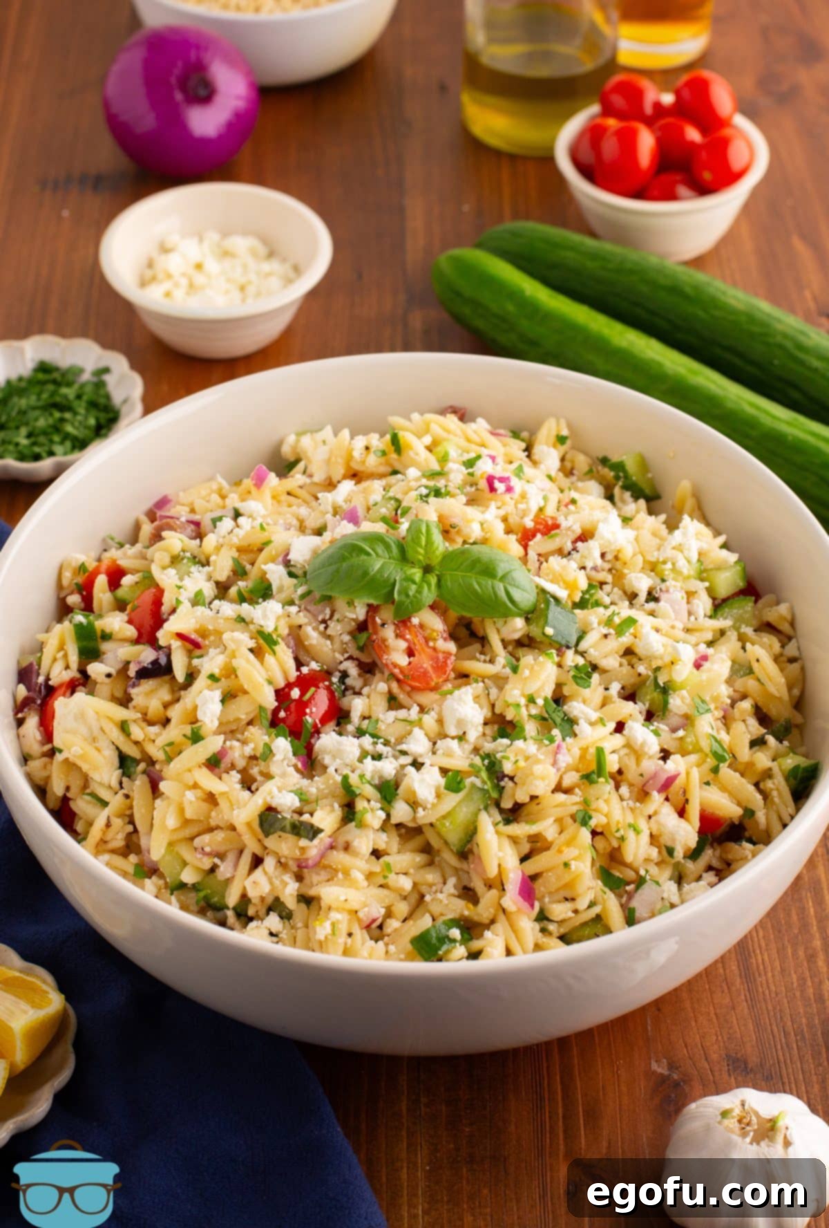 A vibrant bowl of Orzo Pasta Salad garnished with fresh herbs and feta cheese.