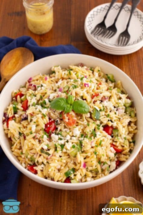 A large serving bowl containing the finished Orzo Pasta Salad, ready for chilling.