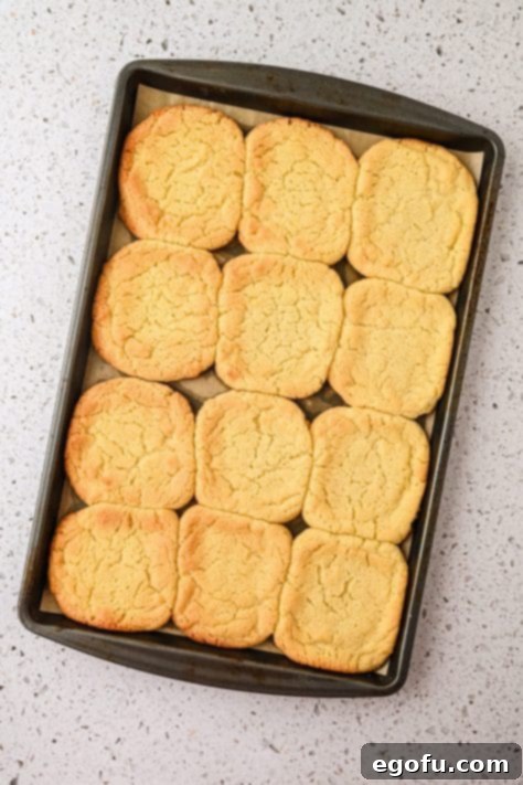Sugar cookies on a baking sheet.