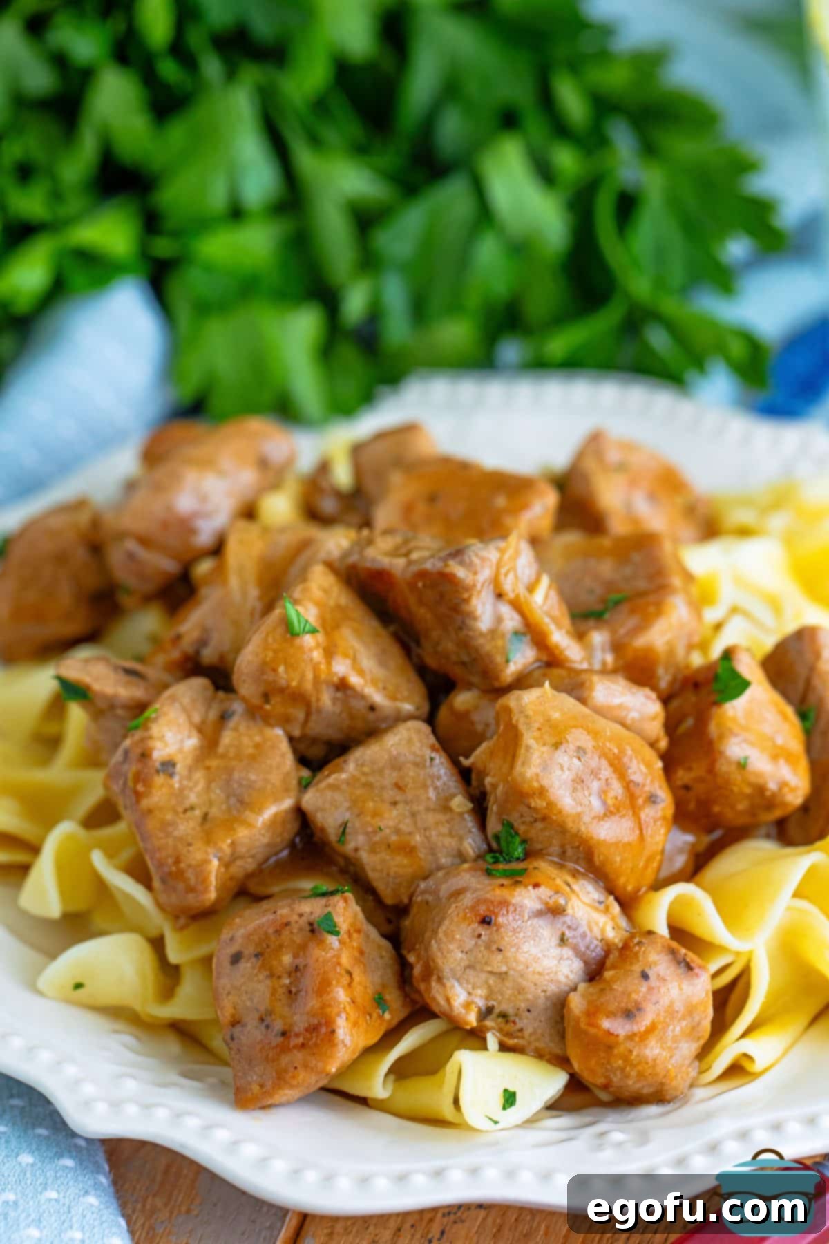 Tender Pork Bites in Rich Gravy 2 A plate of egg noodles and Pork Bites with Gravy, showcasing a hearty, comforting meal.