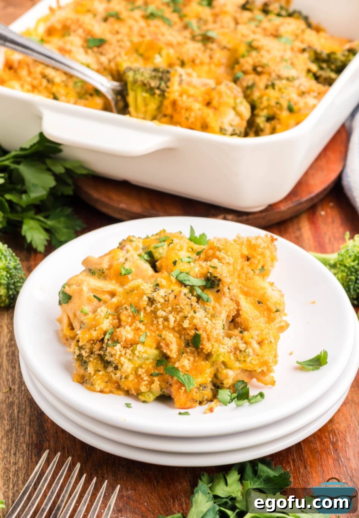 A plate with a serving of Chicken Divan casserole.