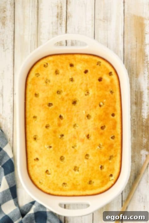 Espresso Kissed Tiramisu Poke Delight 13 A cake with holes poked in it.