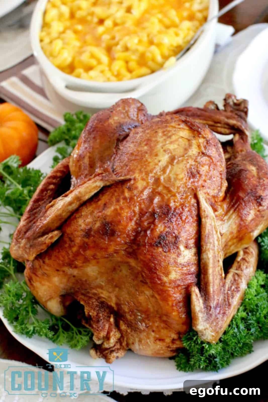 fried turkey shown on a white platter surrounded by fresh parsley. 