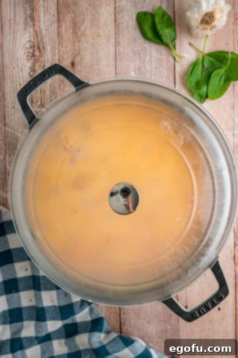 A lid over a cooking skillet.